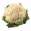 cauliflower